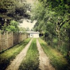 marucarranza_summer_2013